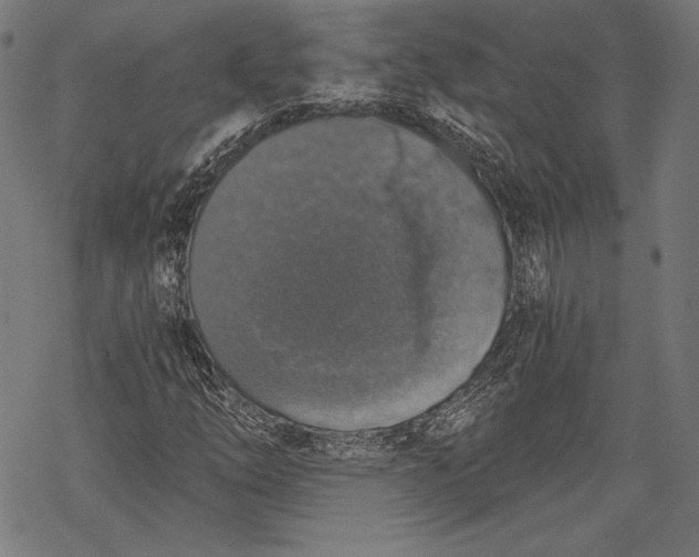 X0000068311254200605051522