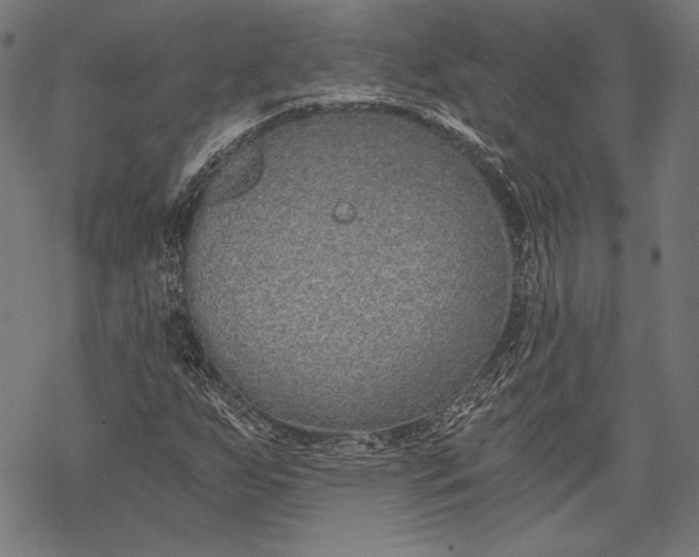 X0000068311255200605051522