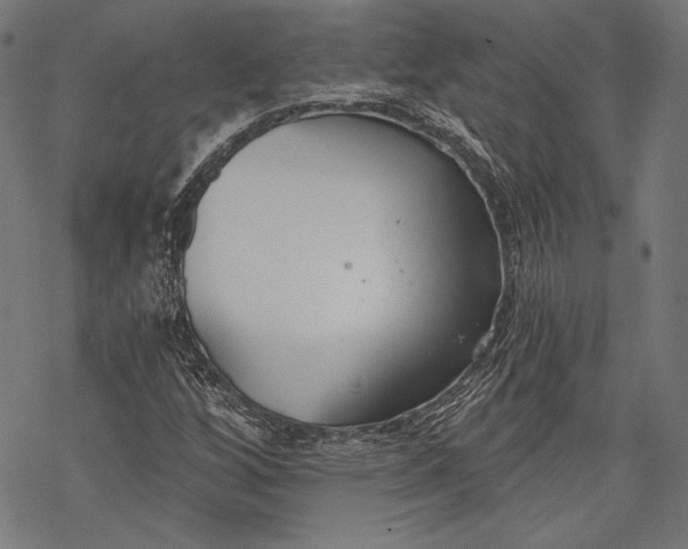 X0000068311256200605051522