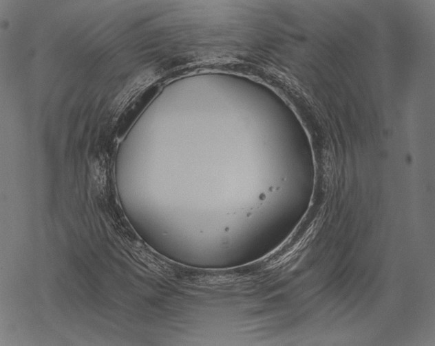 X0000068311257200605051522