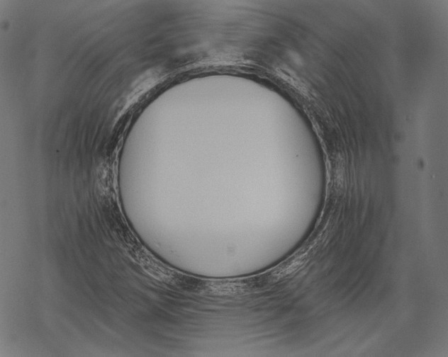 X0000068311258200605051522