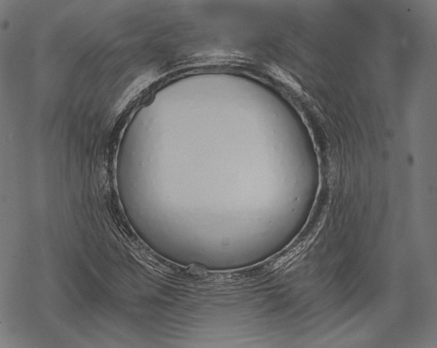 X0000068311259200605051522