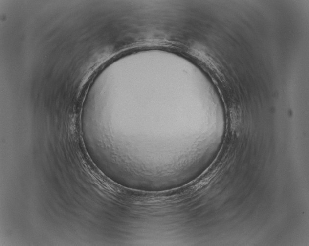 X0000068311260200605051522