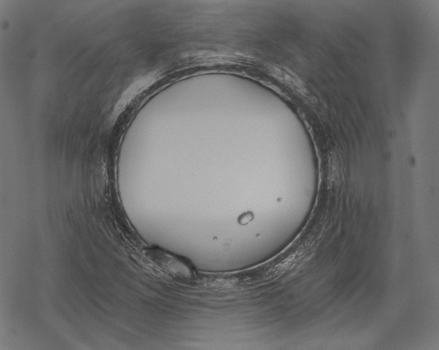 X0000068311261200605051522