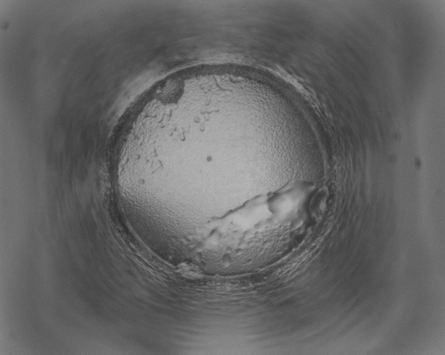 X0000068311263200605051522