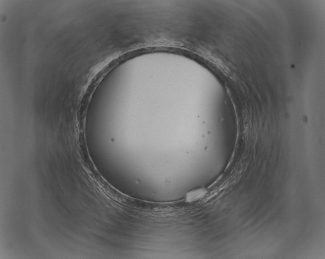 X0000068311264200605051522