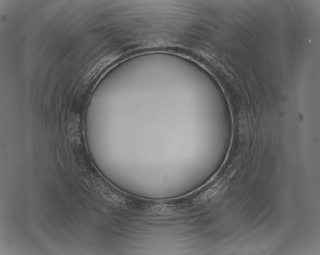 X0000068311265200605051522