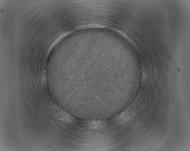 X0000068311266200605051522