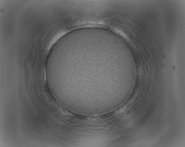 X0000068311267200605051522