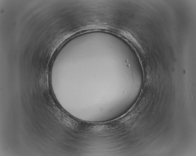 X0000068311268200605051522