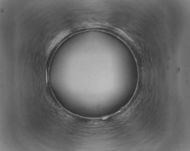 X0000068311269200605051522