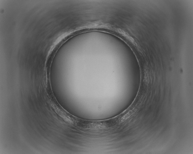 X0000068311270200605051522