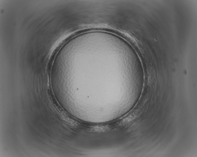 X0000068311271200605051521