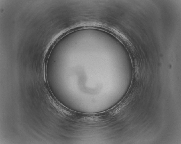 X0000068311272200605051521