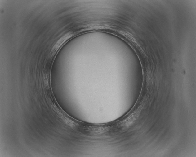 X0000068311273200605051521