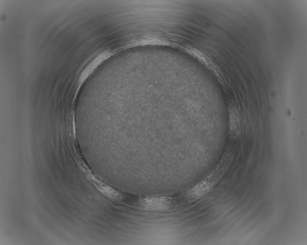 X0000068311274200605051521