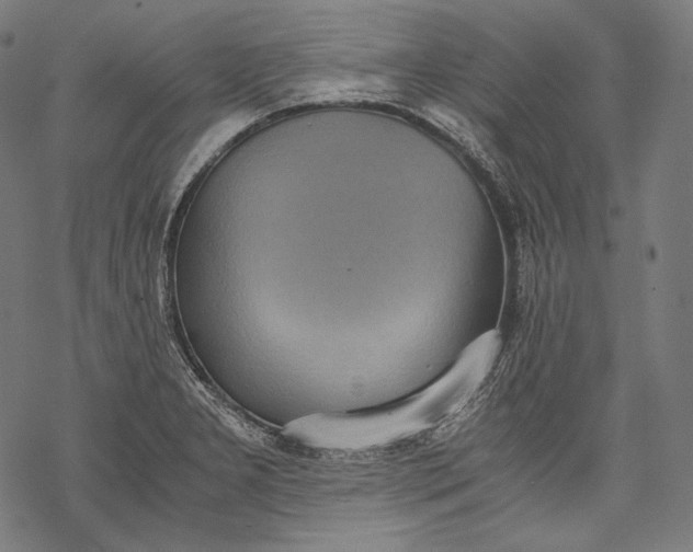 X0000068311277200605051521