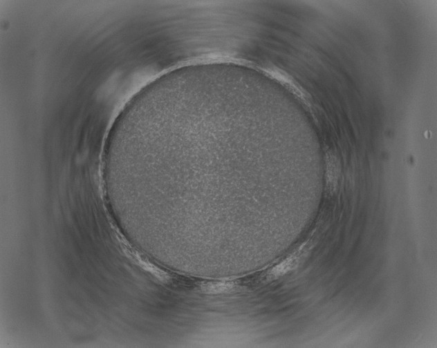 X0000068311278200605051521