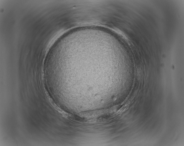 X0000068311279200605051521