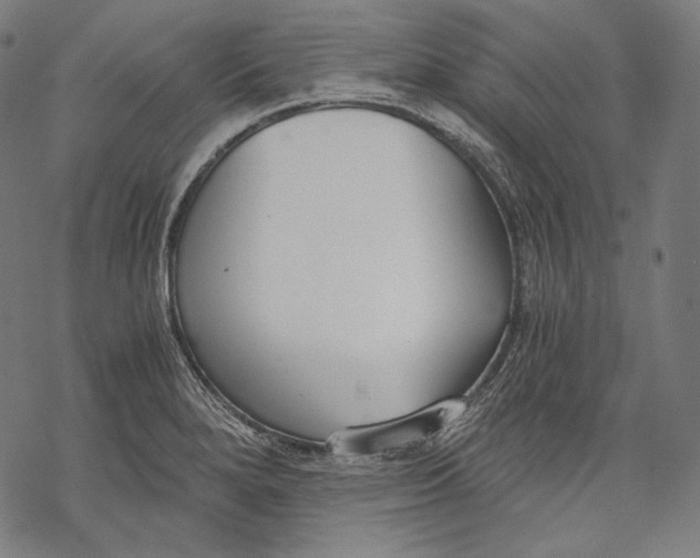 X0000068311280200605051521