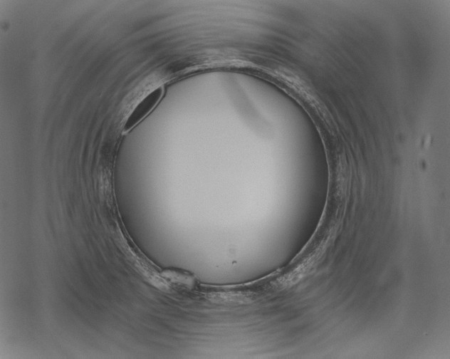 X0000068311281200605051521