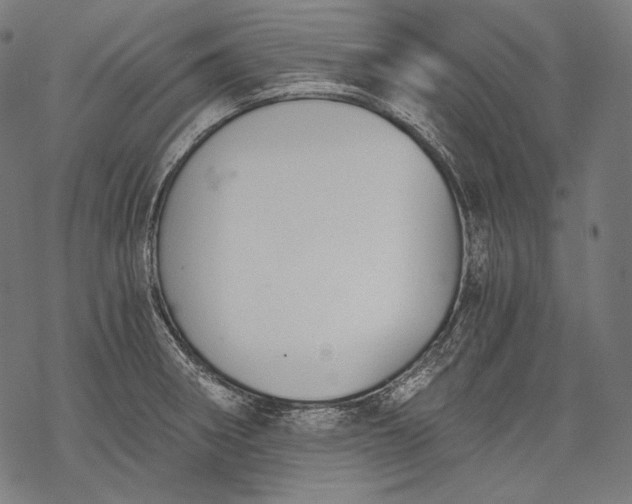 X0000068311282200605051521