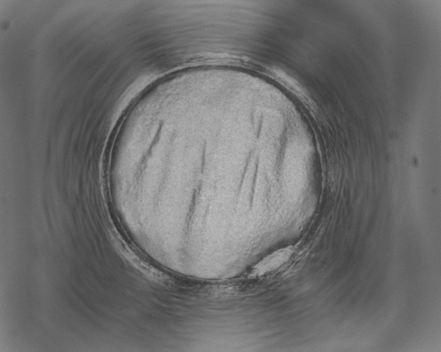 X0000068311283200605051521