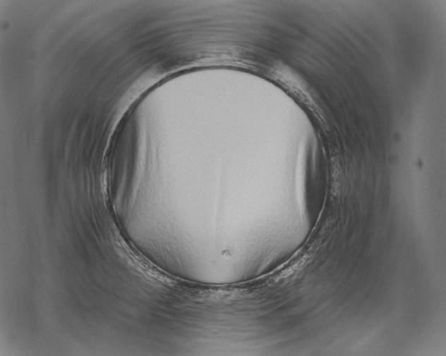 X0000068311284200605051521