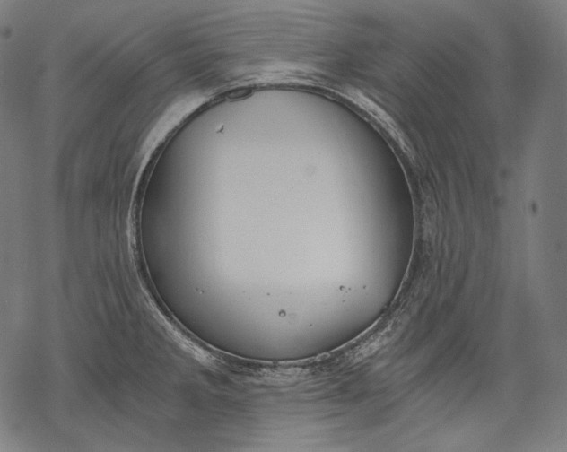 X0000068311285200605051521