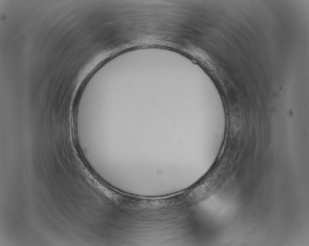 X0000068311286200605051521