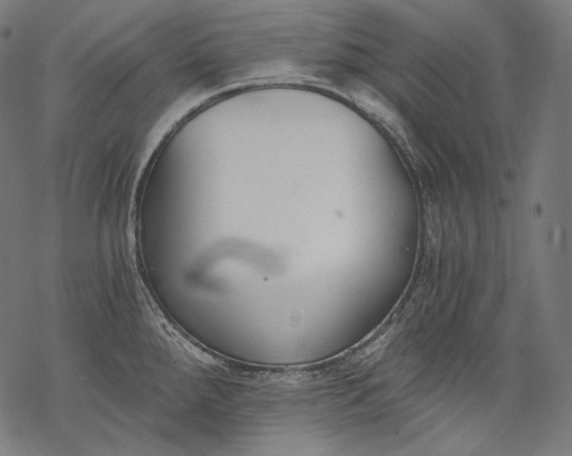 X0000068311288200605051521