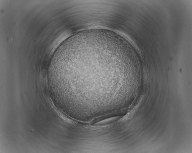 X0000068311289200605051521