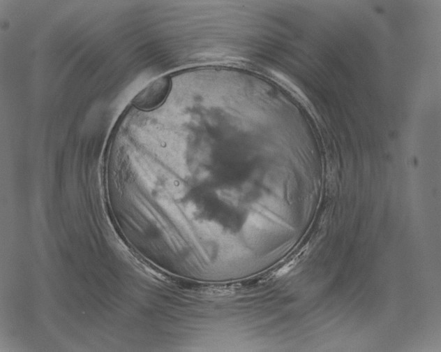 X0000068311291200605051521