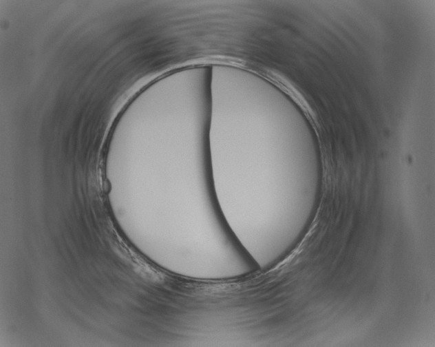 X0000068311292200605051521