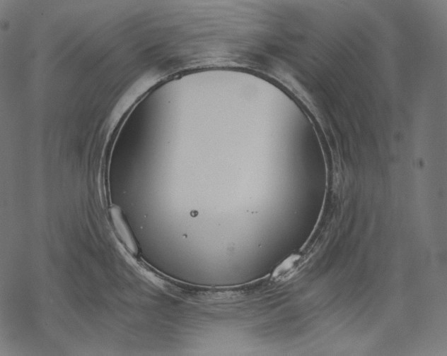 X0000068311293200605051521