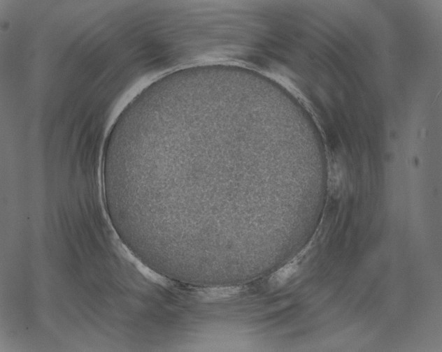 X0000068311294200605051521