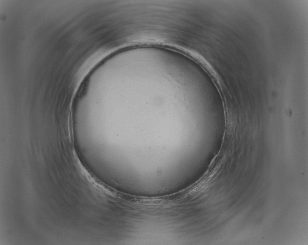 X0000068311295200605051521