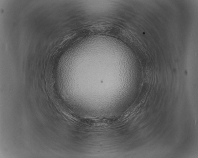 X0000068311297200605051520