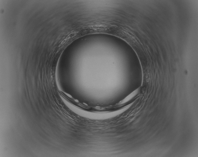 X0000068311298200605051520