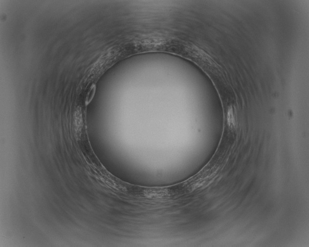 X0000068311299200605051520