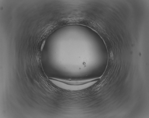 X0000068311300200605051520