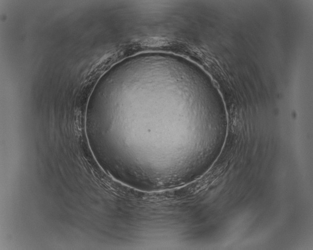 X0000068311301200605051520