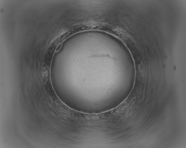 X0000068311302200605051520