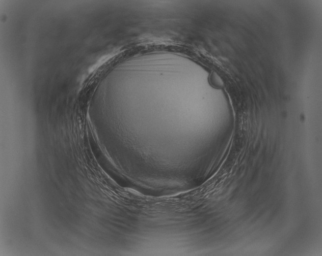 X0000068311303200605051520