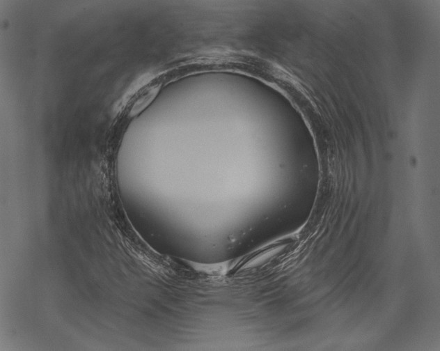 X0000068311304200605051520