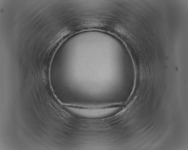 X0000068311305200605051520