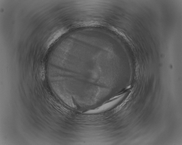 X0000068311306200605051520