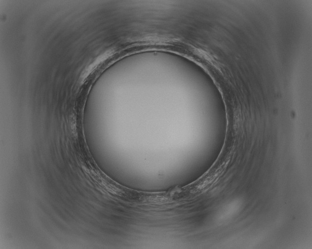 X0000068311307200605051520