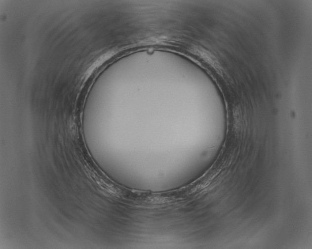 X0000068311308200605051520