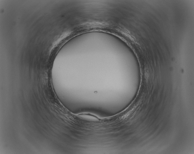 X0000068311309200605051520